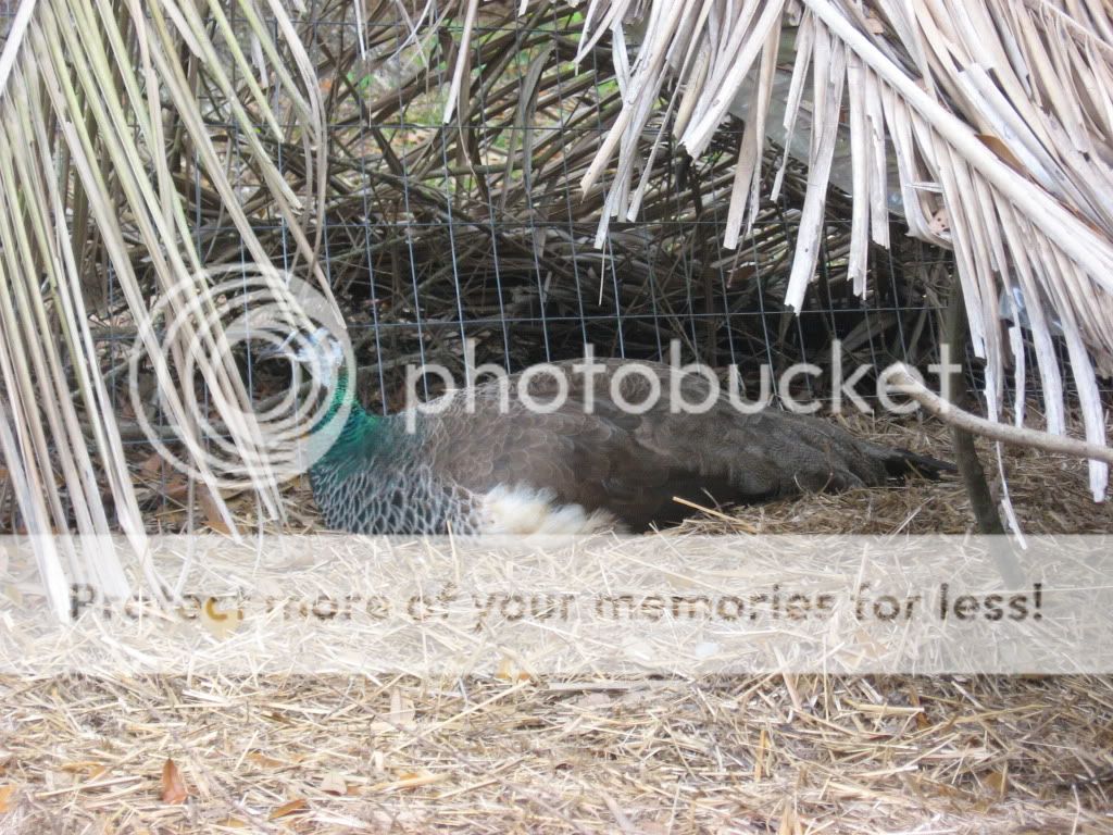 IMG_5069.jpg