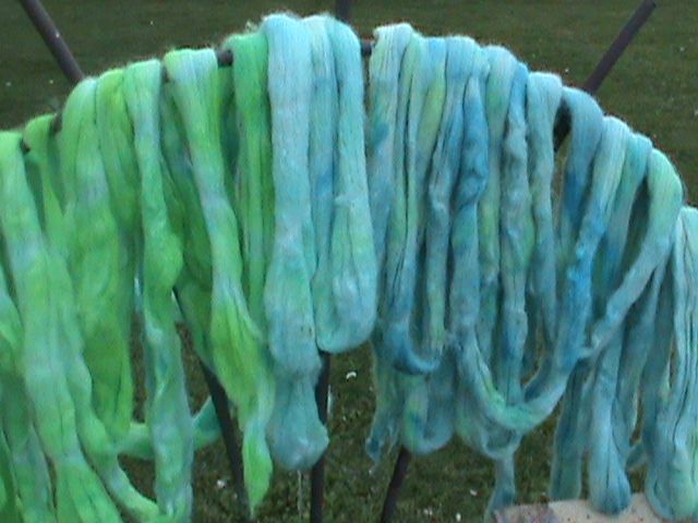 dye090609b.jpg