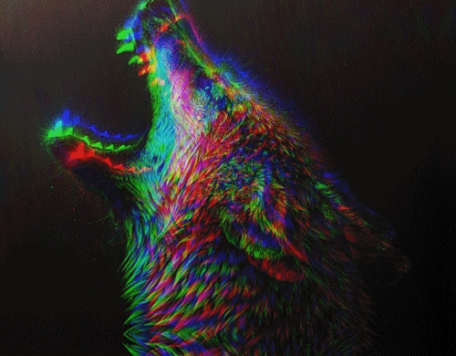 tumblr_m00wyaEcNj1qbk2j1o1_500.gif