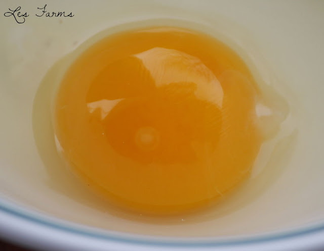 Fertile+Egg+Aoxa.jpg