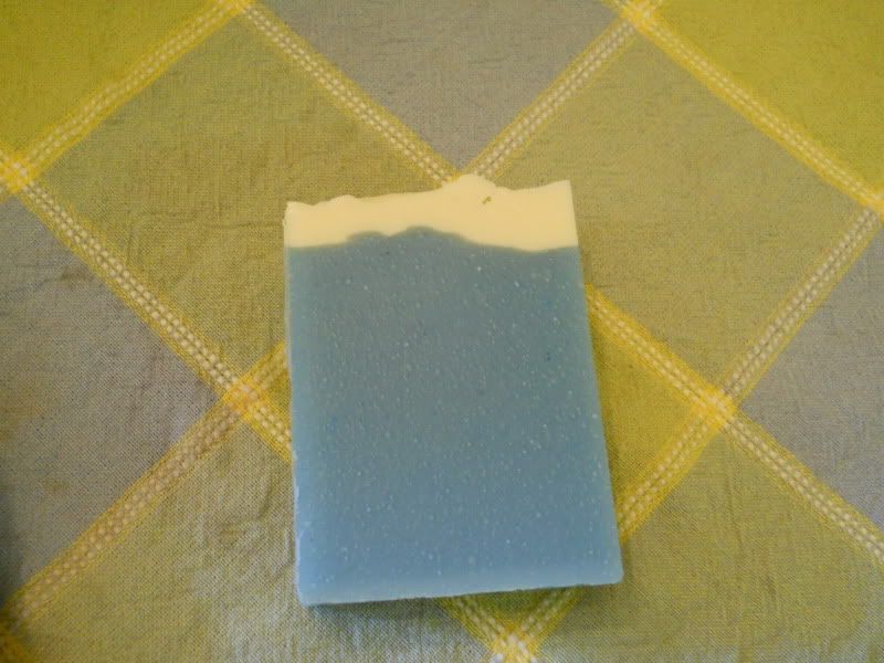 mold010.jpg