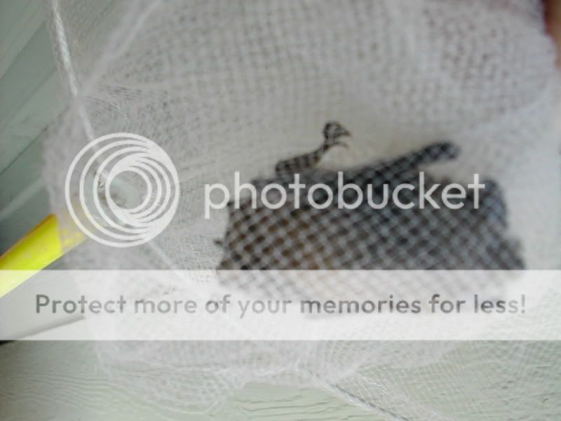 DSCN2702-1.jpg