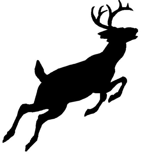 jumping%20deer%20p.jpg
