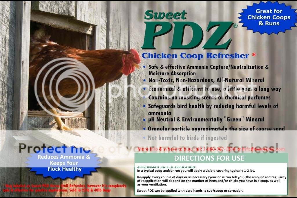 PDZ.jpg