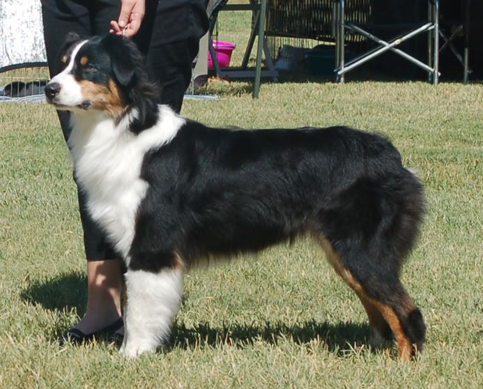 lassen36b.jpg