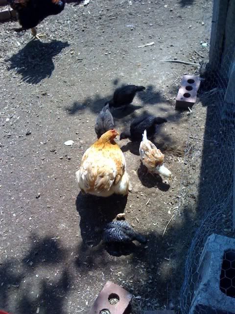 photo-135.jpg