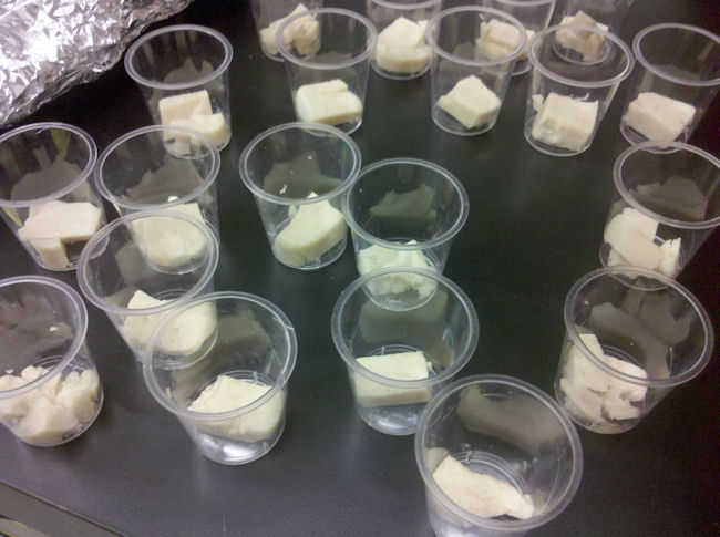 2010-04-16%2012.43.42.jpg