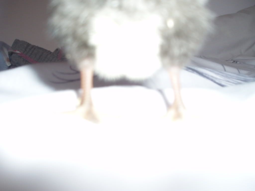 P1010293.jpg