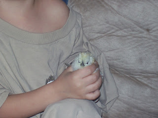 100_2460.JPG