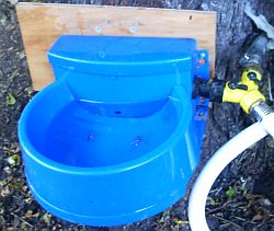 auto-waterer.jpg