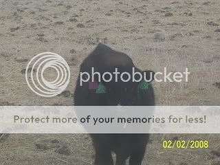 100_2768.jpg