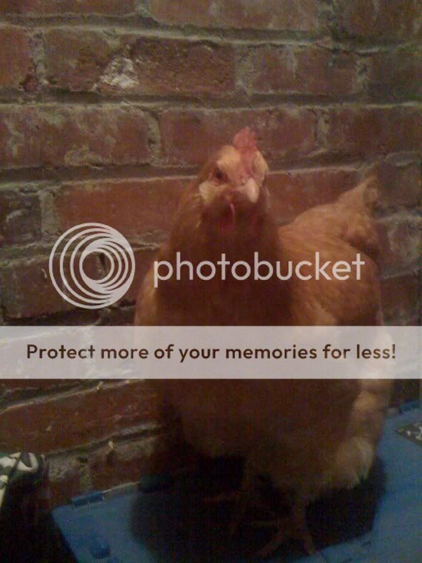 photo40.jpg