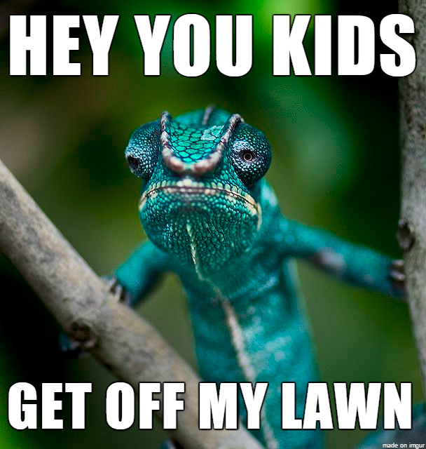 9PDWT00.png