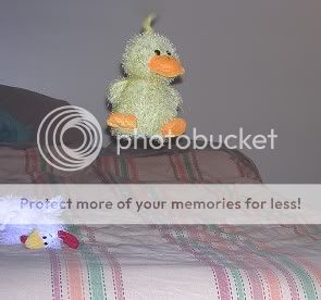 Bed2.jpg