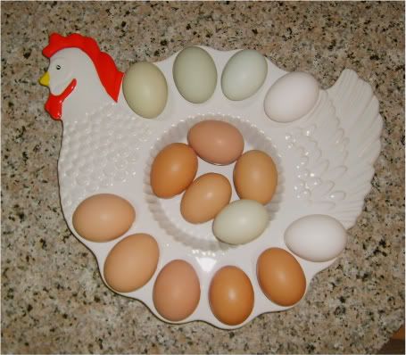 eggsbrownwhitegreen006.jpg