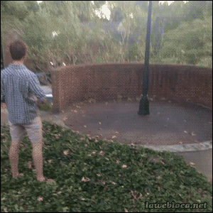 3CDFFWe.gif