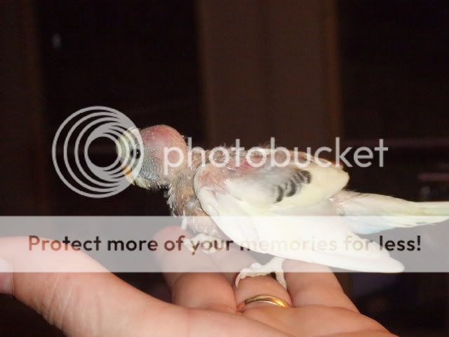 DSCF1053.jpg