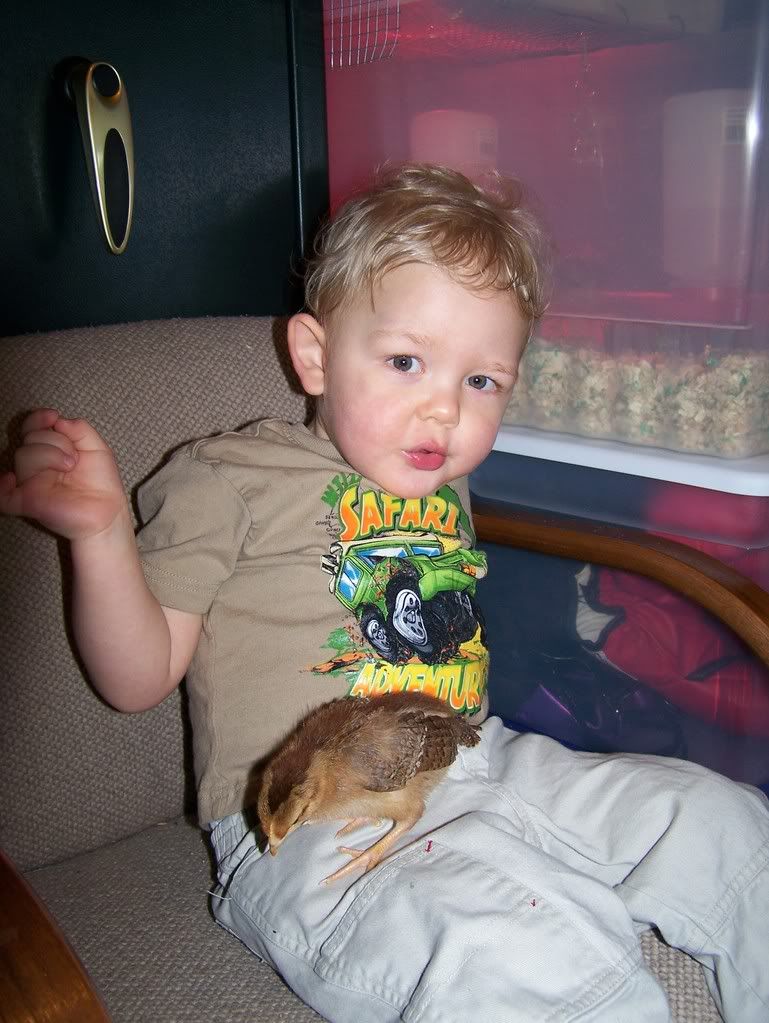 Wesleychick.jpg