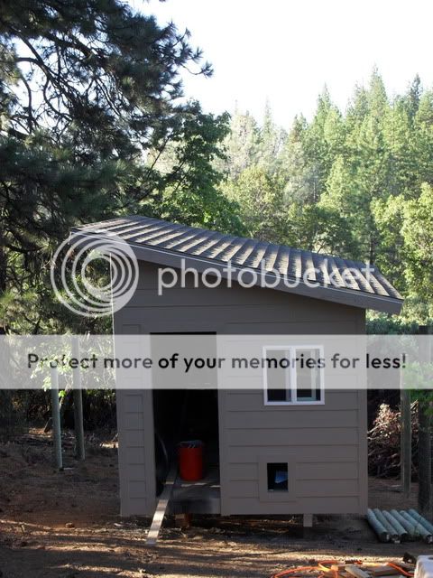 SDC10720.jpg