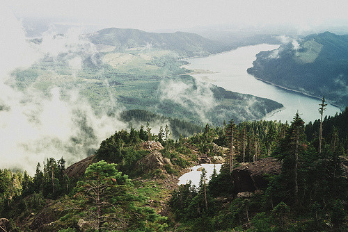 tumblr_m030q0mcyS1qk6vcwo1_500.jpg