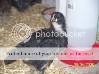 100_1759.jpg