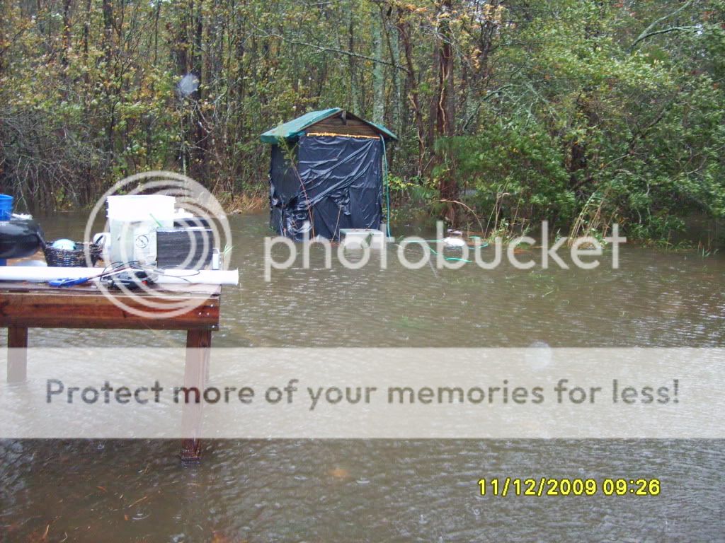flood032.jpg