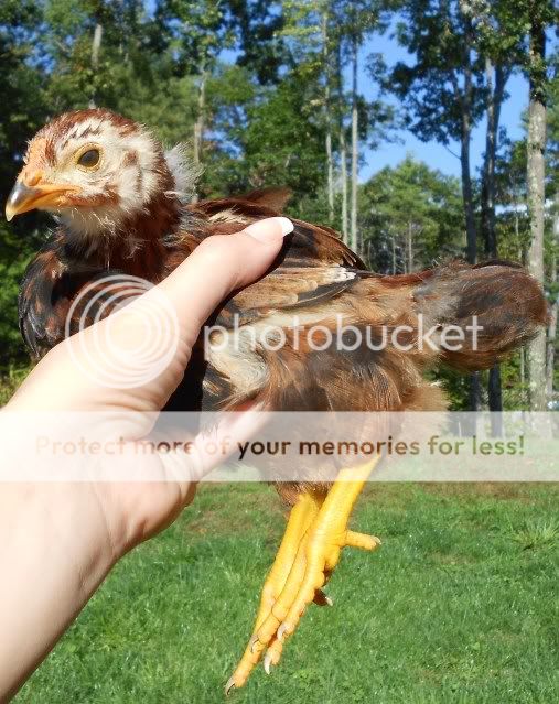 philadelphia.jpg
