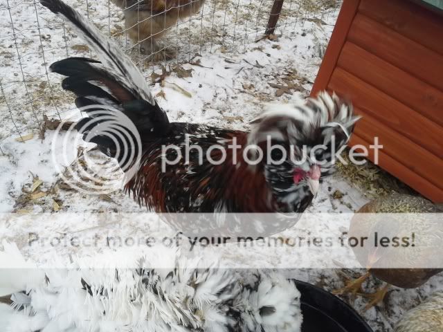 20131206_134134_zps5fa1333d.jpg