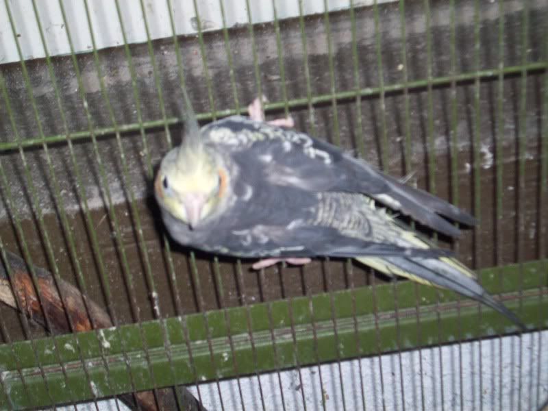 100_9047.jpg