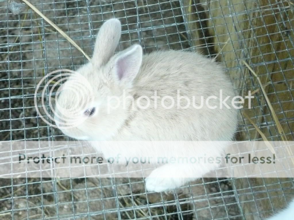 Picture015.jpg
