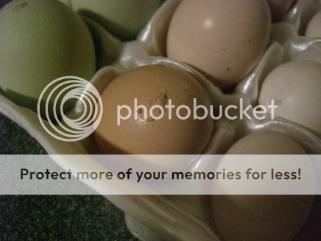 Eggs2009004.jpg