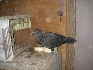 PC020110.jpg