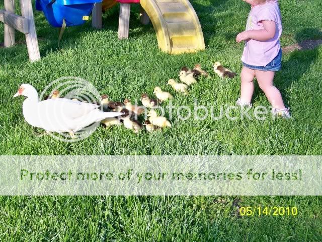 100_1730.jpg