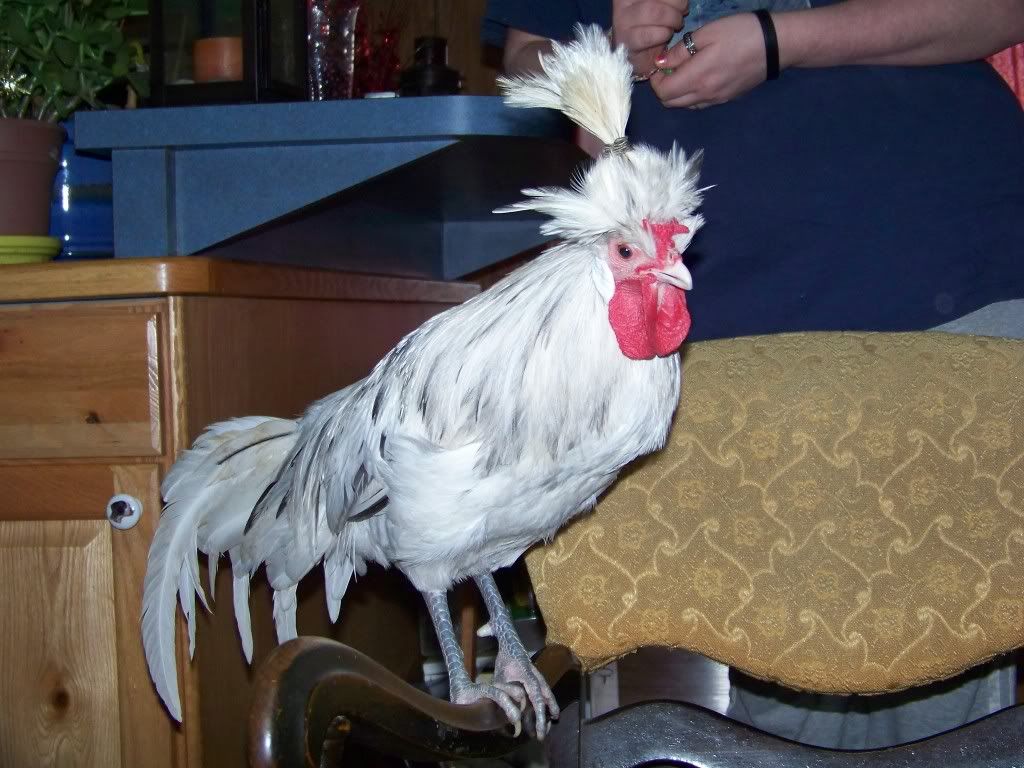 100_8847.jpg