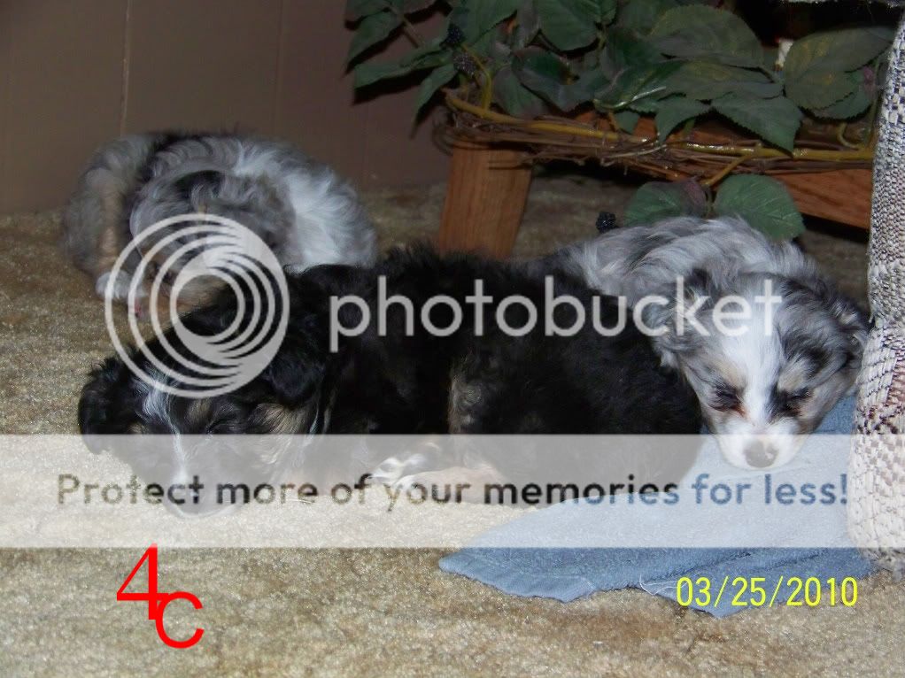 100_2457.jpg