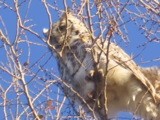 IMG_0893.jpg