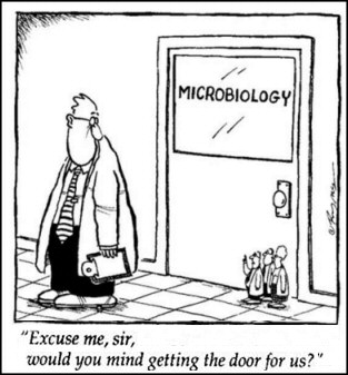 microbiology.jpg