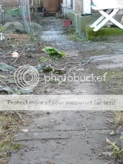 Mainwalkwayafter.jpg
