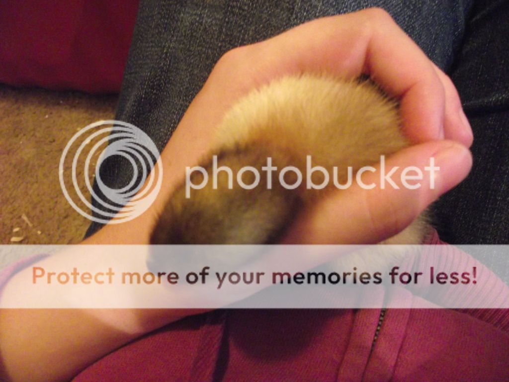 DSCF2118.jpg