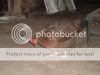 Dorkingarticlepics009.jpg