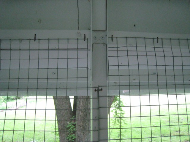 chickens%20011%20%5B640x480%5D.JPG