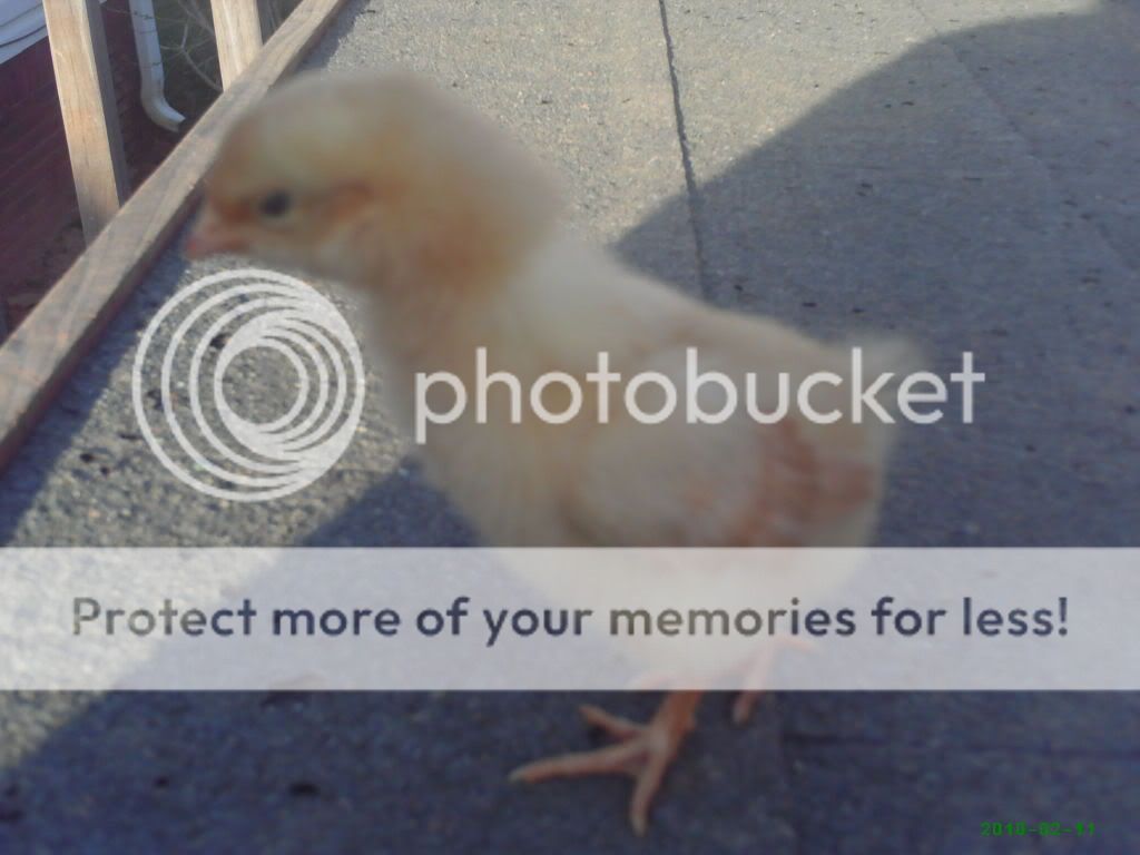 PHTO0610.jpg