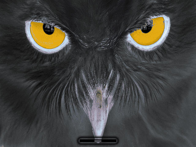 Black_Owl_by_klen70.jpg