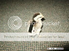 PICT0013.jpg