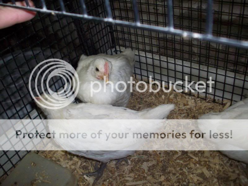 100_7214.jpg
