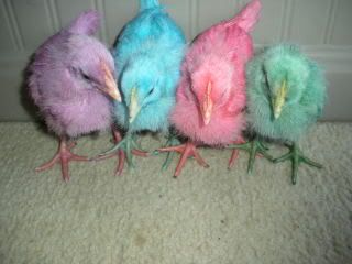 chicks2005.jpg