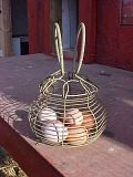 th_7EggsSept152008.jpg