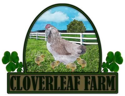 CloverleafFarm.jpg