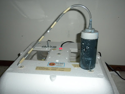 DSCN2233.JPG