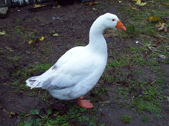 110_0024.JPG